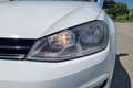 Volkswagen Golf Golf 1.6 TDI 90 CV 5p. Tech&Sound BlueMotion Techn Bianco - thumbnail 5