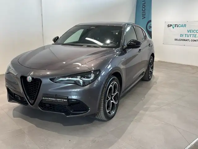 2025 Alfa Romeo Stelvio for sale