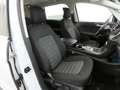Ford S-Max 2.0 EcoBlue Aut. Titanium (AHK+ACC) Alb - thumbnail 8
