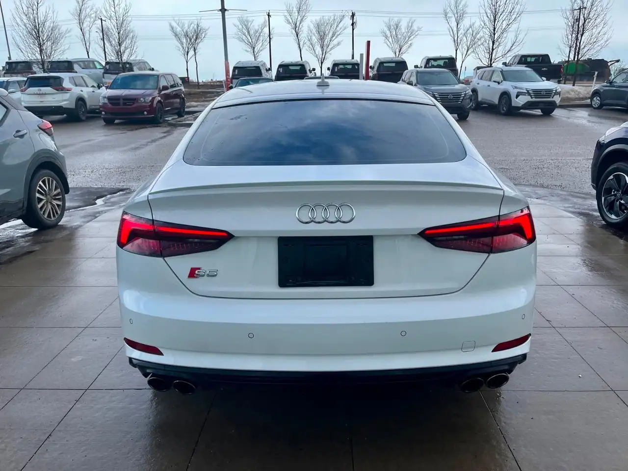 Audi S5 снимка Audi S5