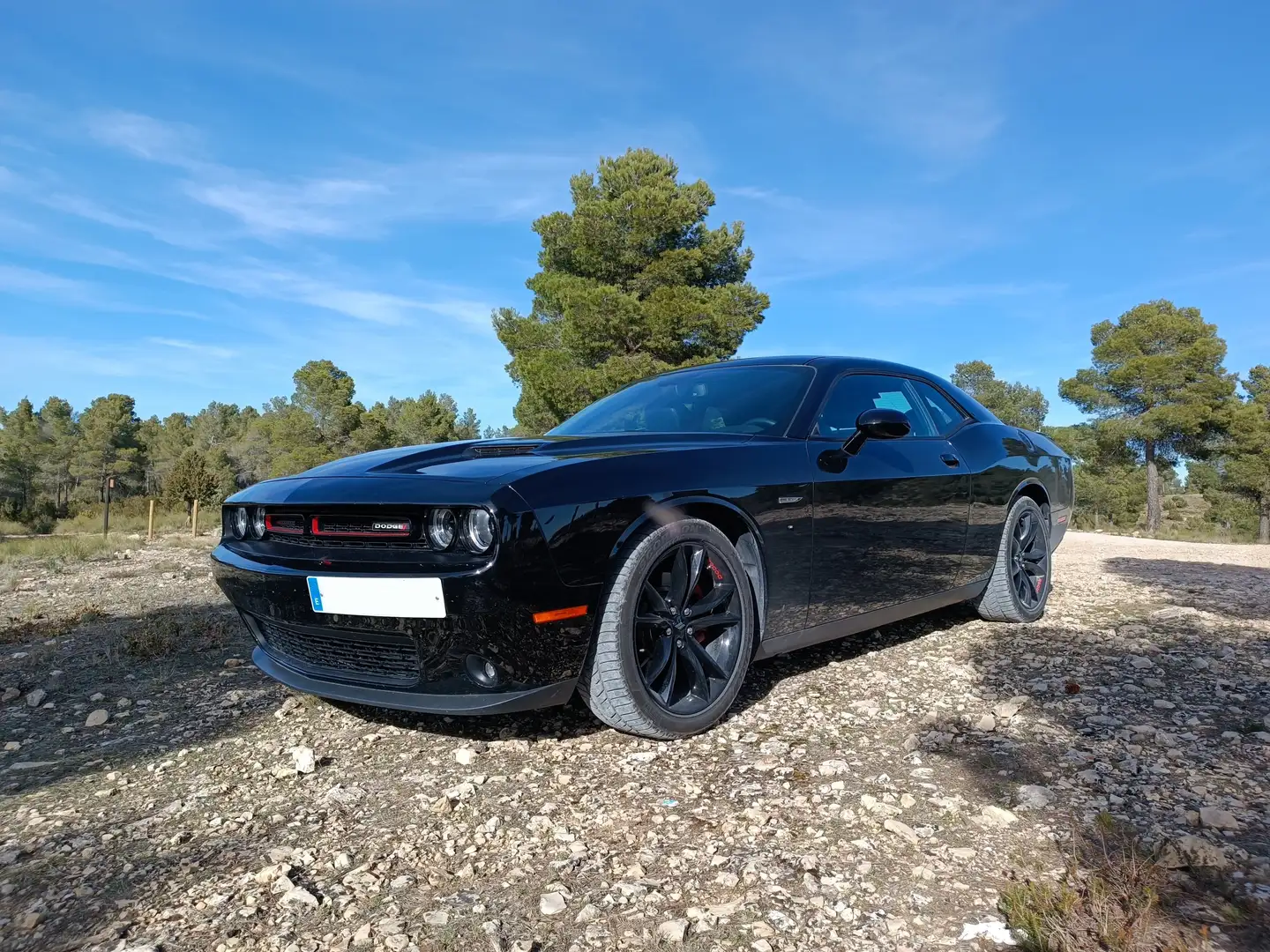 Dodge Challenger Challenger SXT 3.6 V6 SXT Schwarz - 1