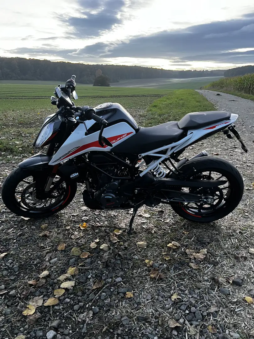 KTM 390 Duke - 1