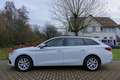 SEAT Leon Sportstourer 1.0 eTSI FR Business Intense | Trekha Blanco - thumbnail 6