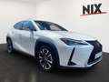 Lexus UX 250h Hybrid Style Edition KAMERA LED Weiß - thumbnail 2