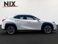 Lexus UX 250h Hybrid Style Edition KAMERA LED Weiß - thumbnail 3