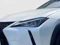 Lexus UX 250h Hybrid Style Edition KAMERA LED Weiß - thumbnail 7