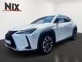 Lexus UX 250h Hybrid Style Edition KAMERA LED Weiß - thumbnail 1