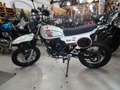 Mash Egyéb 50cc X-Ride Euro 5 AKTION - thumbnail 8