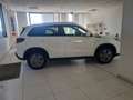 Suzuki Vitara 1.4 Hybrid Cool+ - thumbnail 4