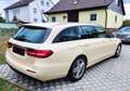 Mercedes-Benz E 220 E-Klasse T-Modell Diesel d T 9G-TRONIC Gelb - thumbnail 12