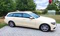 Mercedes-Benz E 220 E-Klasse T-Modell Diesel d T 9G-TRONIC Gelb - thumbnail 14