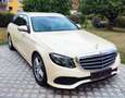 Mercedes-Benz E 220 E-Klasse T-Modell Diesel d T 9G-TRONIC Gelb - thumbnail 6