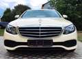 Mercedes-Benz E 220 E-Klasse T-Modell Diesel d T 9G-TRONIC Gelb - thumbnail 5