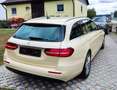 Mercedes-Benz E 220 E-Klasse T-Modell Diesel d T 9G-TRONIC Gelb - thumbnail 11