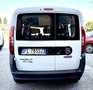 Fiat Doblo 1.3 mjt 16v Easy 95cv N1 8900 IVA PASSAGGIO COMPR. Fehér - thumbnail 7