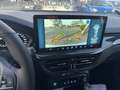 Ford Focus 1.0  Hybrid 125 CV 5p.ST Line MY25 PRONTA CONSEGN Argento - thumbnail 11