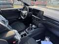Ford Focus 1.0  Hybrid 125 CV 5p.ST Line MY25 PRONTA CONSEGN Argento - thumbnail 5