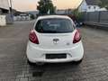 Ford Ka/Ka+ Ka 1.2 Trend tüv neu Weiß - thumbnail 5
