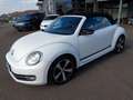 Volkswagen Beetle Cabriolet Club,Navi,SHZ. Weiß - thumbnail 1