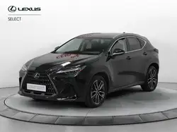 Lexus NX 300 Hybrid 4WD Luxury
