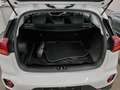 Kia Niro 1.6 Edition RFK DAB Tempomat Klima Weiß - thumbnail 11
