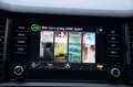 Skoda Kodiaq 1.5 TSI Sportline Business 7 Persoons Navi/Led/Ecc Gris - thumbnail 45