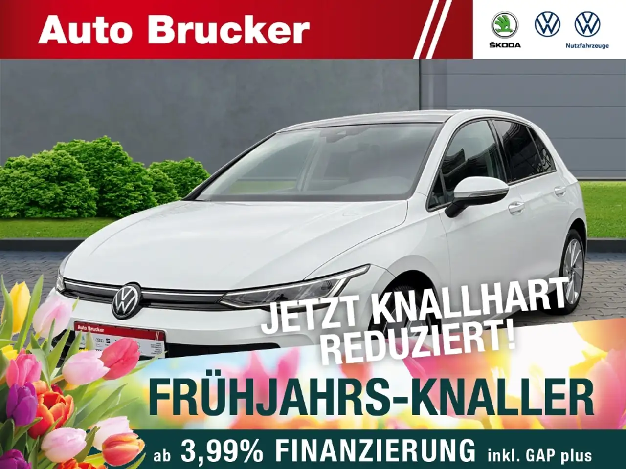 Volkswagen Golf VIII 1.5 TSI Life PANO+LED+NAVI+SHZ+3-Zonen-Klimaa