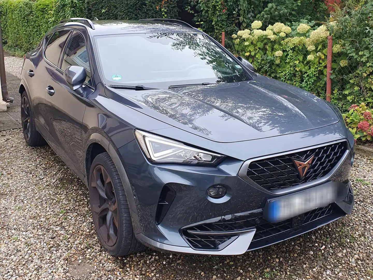 CUPRA Formentor Formentor VZ 2.0 TSI 4Drive DSG Grau - 1