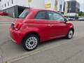 Fiat 500 DolceVita*CarPlay Rojo - thumbnail 7