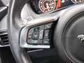 Jaguar F-Pace R-Sport AWD|BLACK-PACK|AUTOM|PANO|LEDER|LED|CAM Blau - thumbnail 19