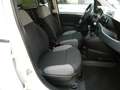 Fiat Panda VAN 1.0 FireFly 70CV HYBRID 2P - KM ZERO ITALIANA Wit - thumbnail 9