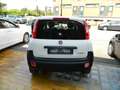 Fiat Panda VAN 1.0 FireFly 70CV HYBRID 2P - KM ZERO ITALIANA Wit - thumbnail 2
