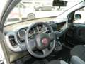 Fiat Panda VAN 1.0 FireFly 70CV HYBRID 2P - KM ZERO ITALIANA Wit - thumbnail 12