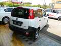 Fiat Panda VAN 1.0 FireFly 70CV HYBRID 2P - KM ZERO ITALIANA Wit - thumbnail 3