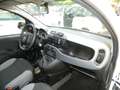 Fiat Panda VAN 1.0 FireFly 70CV HYBRID 2P - KM ZERO ITALIANA Wit - thumbnail 10