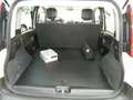 Fiat Panda VAN 1.0 FireFly 70CV HYBRID 2P - KM ZERO ITALIANA Wit - thumbnail 8