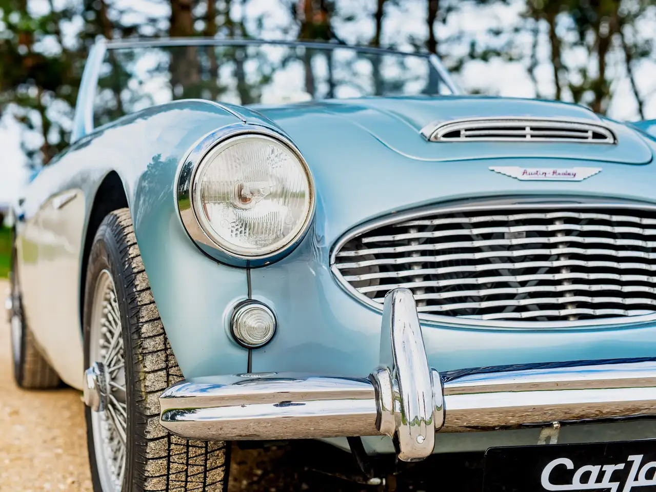 Austin-Healey 100 Six BN6, foto 6
