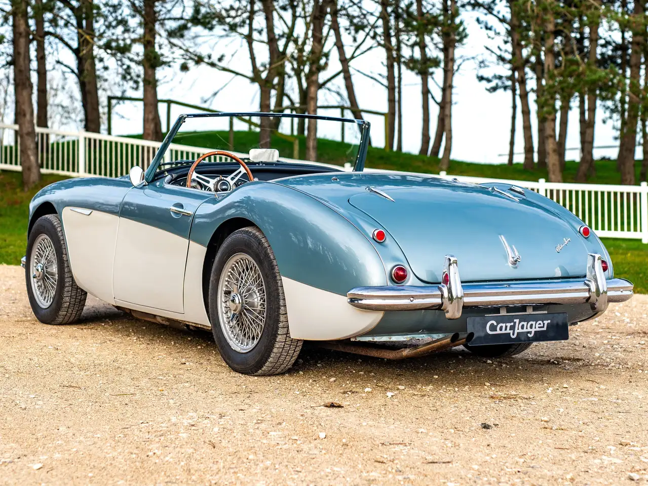 Austin-Healey 100 Six BN6, foto 2