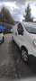 Renault Trafic Bianco - thumbnail 8