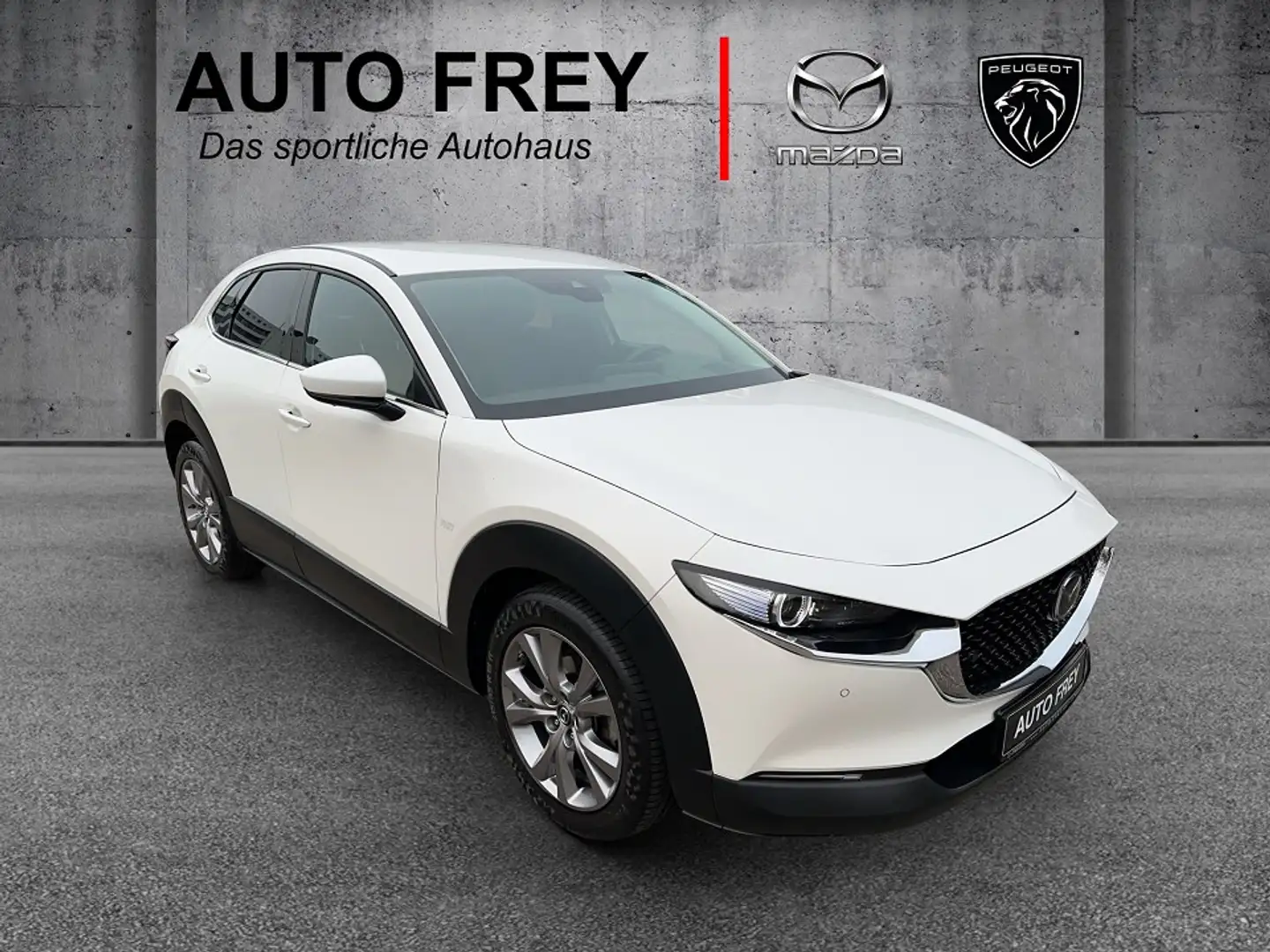 Mazda CX-30 150PS Selection AT 360°+LEDER+PRE-P+DES-P+BOSE+ Weiß - 1