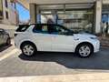 Land Rover Discovery Sport 2.0d td4 mhev R-Dynamic S awd  Autocarro 4 posti Bianco - thumbnail 5