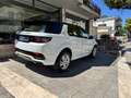Land Rover Discovery Sport 2.0d td4 mhev R-Dynamic S awd  Autocarro 4 posti Bianco - thumbnail 6