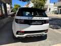 Land Rover Discovery Sport 2.0d td4 mhev R-Dynamic S awd  Autocarro 4 posti Bianco - thumbnail 7