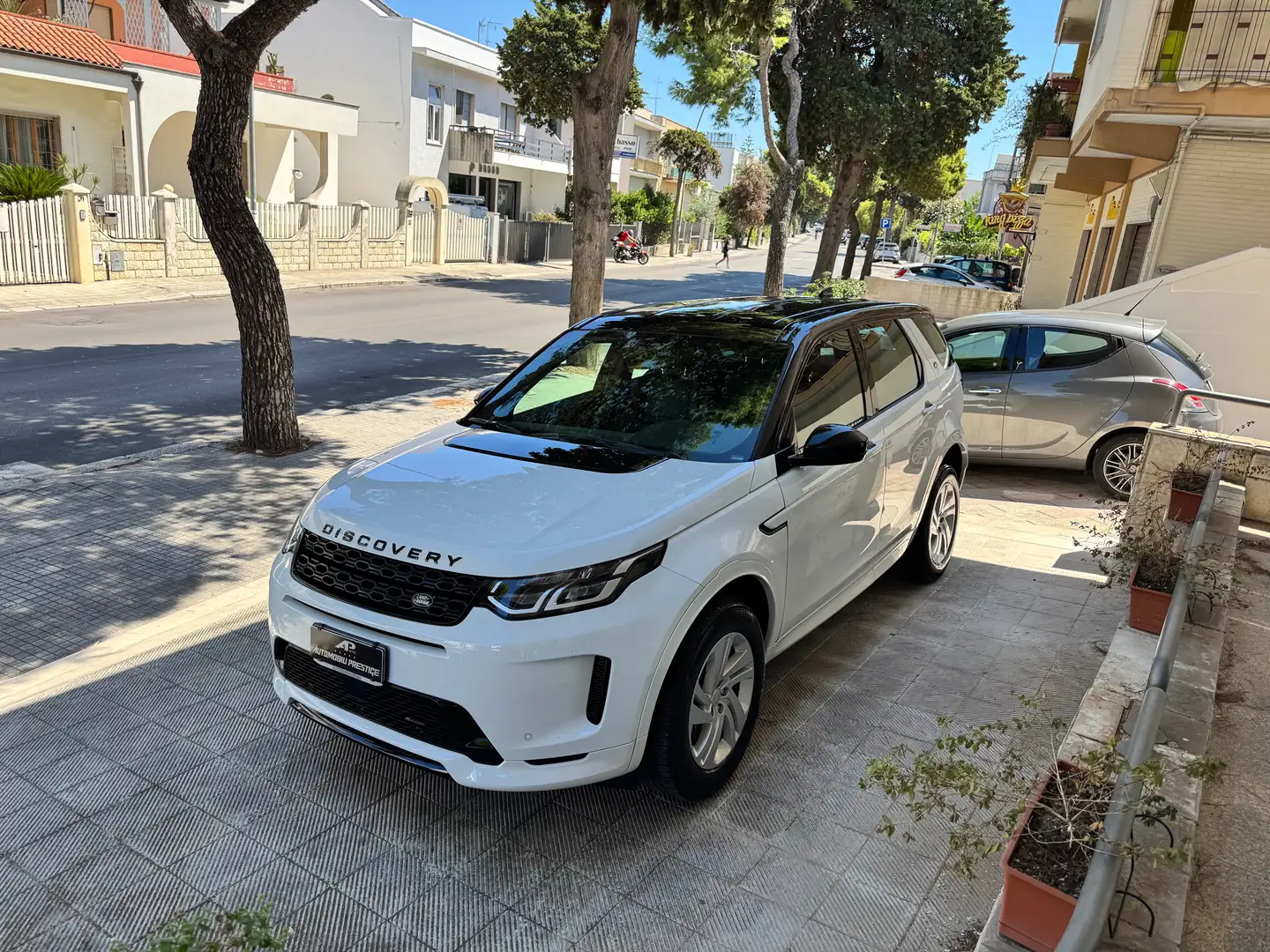 Land Rover Discovery Sport 2.0d td4 mhev R-Dynamic S awd  Autocarro 4 posti Bianco - 2