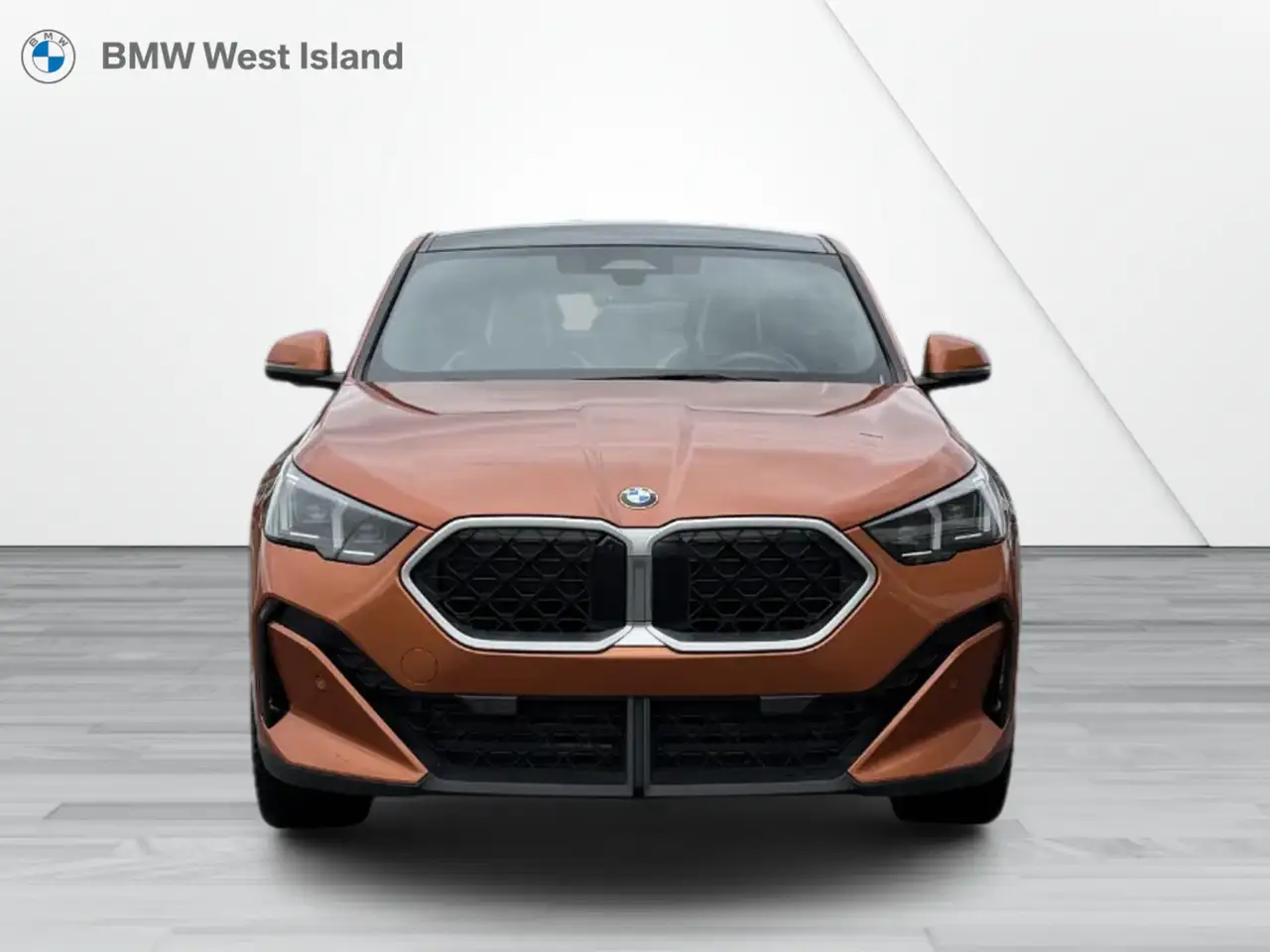 BMW X2 снимка BMW X2
