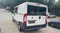 Fiat Ducato *Tüv Neu*Ahk*Euro 5* Blanc - thumbnail 4
