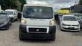 Fiat Ducato *Tüv Neu*Ahk*Euro 5* Blanc - thumbnail 2