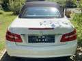 Mercedes-Benz E 250 CGI Cabrio BlueEFFICIENCY Automatik Prime Edition - thumbnail 2