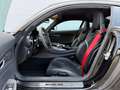 Mercedes-Benz AMG GT Schwarz - thumbnail 8