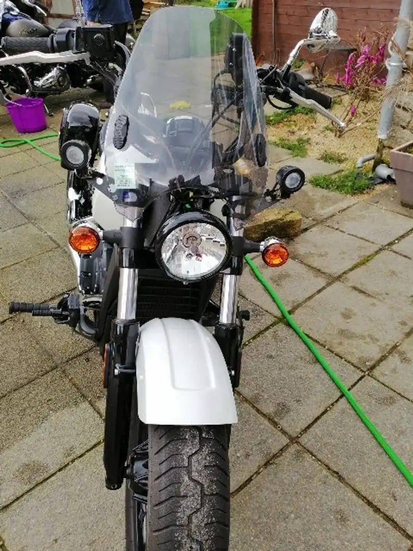Indian Scout Scout Sixty Blanco - 1